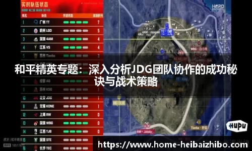 黑白体育直播